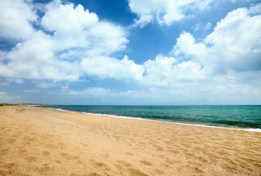 Similar image 700142