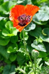 Similar image 700147