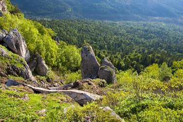 Similar image 700155