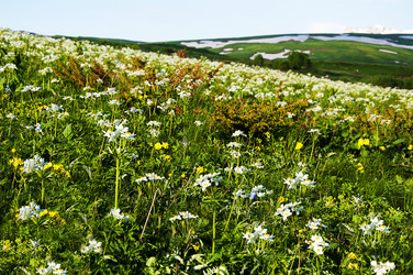 Similar image 700156