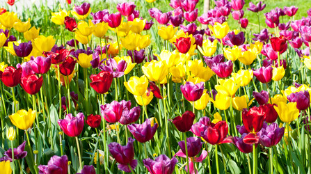 Similar image 700240