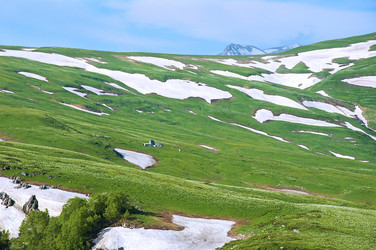 Similar image 700374