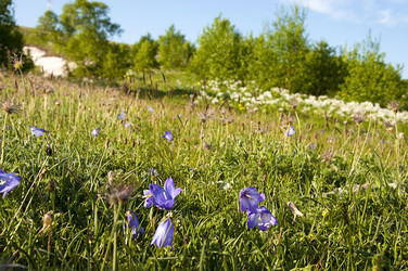 Similar image 700376