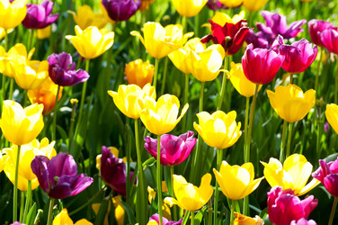 Similar image 700447