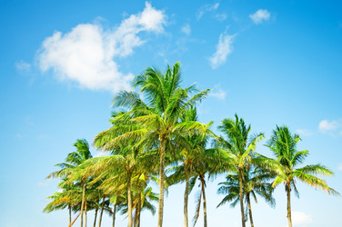 Similar image 700455