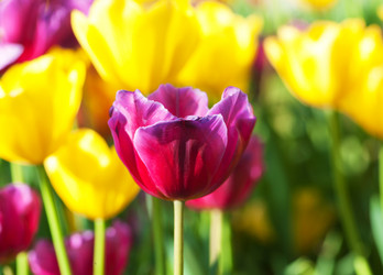 Similar image 700463