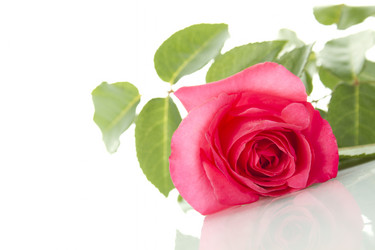 Similar image 700543