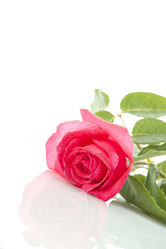 Similar image 700544