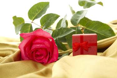 Similar image 700566