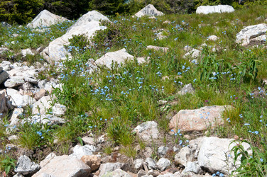 Similar image 700579