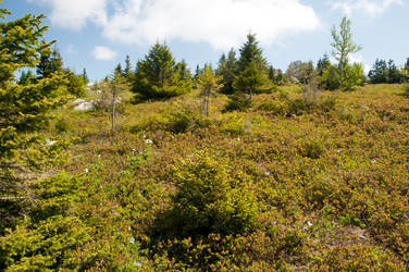 Similar image 700578