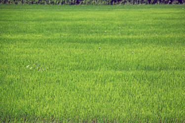 Similar image 700589