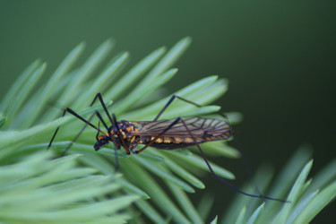 Similar image 700618