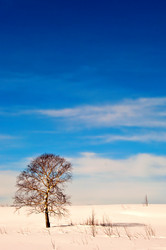 Similar image 700687