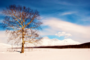 Similar image 700688