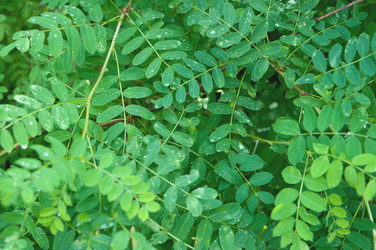 Similar image 700707