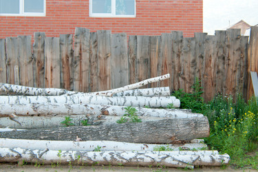 Similar image 700709