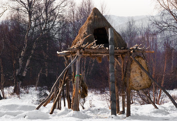 Similar image 700715