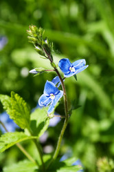 Similar image 700717