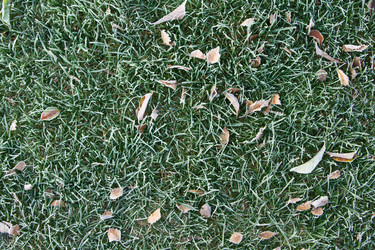 Similar image 700720