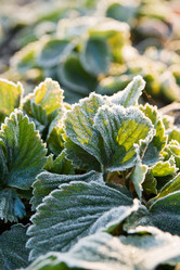 Similar image 700721