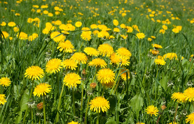 Similar image 700725