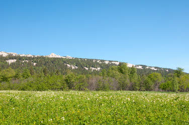 Similar image 700740