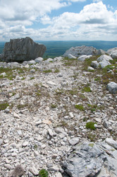 Similar image 700741