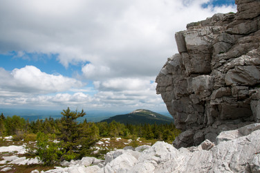 Similar image 700742