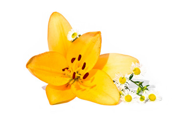 Similar image 700777