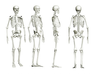 Similar image 700782