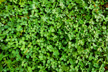 Similar image 700810