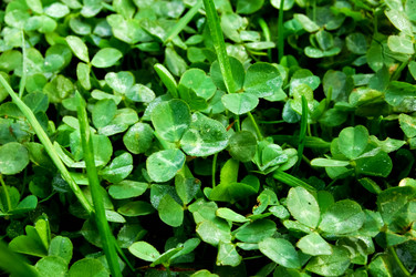 Similar image 700811