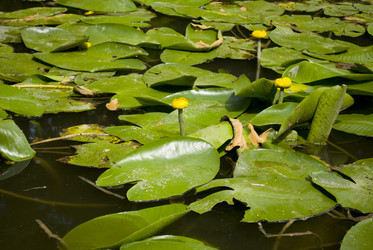 Similar image 700813