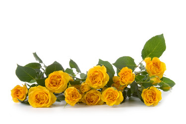 Similar image 700826