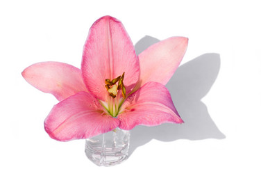 Similar image 700836