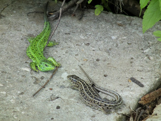 Similar image 700858