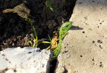 Similar image 700861