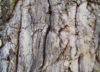 Similar image 700868