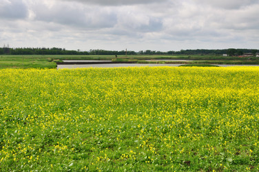 Similar image 700869