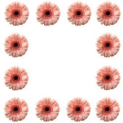 Similar image 700918