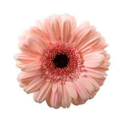 Similar image 700920