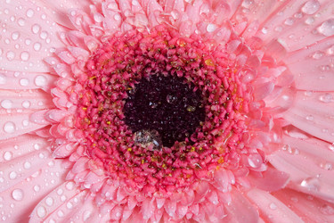 Similar image 700923