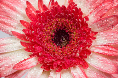 Similar image 700926