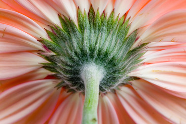 Similar image 700936