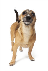 Similar image 700940