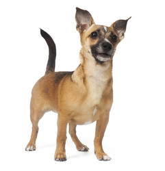 Similar image 700941