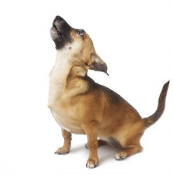 Similar image 700942