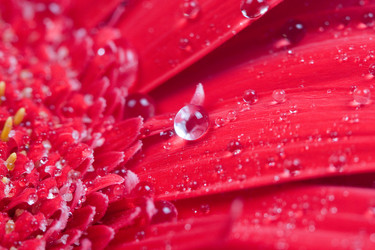 Similar image 700943