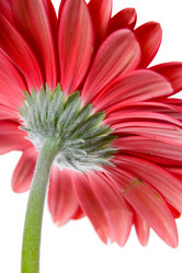 Similar image 700944